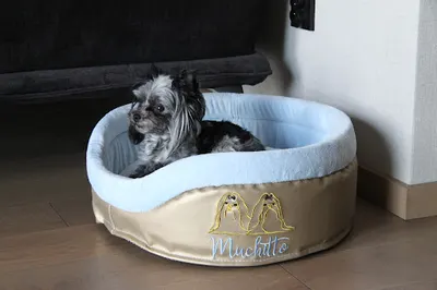 Sklep Zoologiczny York Shop